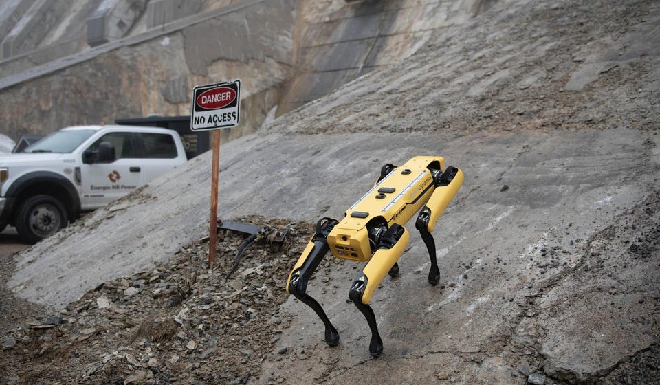 Quadruped Robots in Industry and Hands-On STEM Learning Illustration