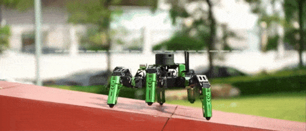 LocoHex- stem hexapod