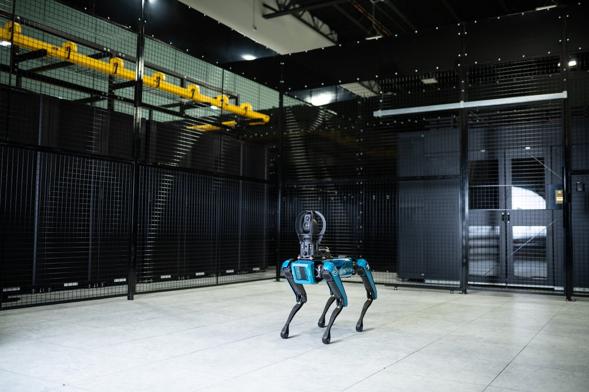 Robot dogs guarding data centers