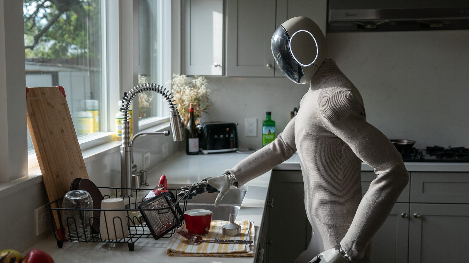 Household Robotics Systems