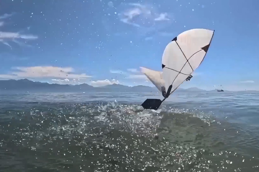 flapping robot